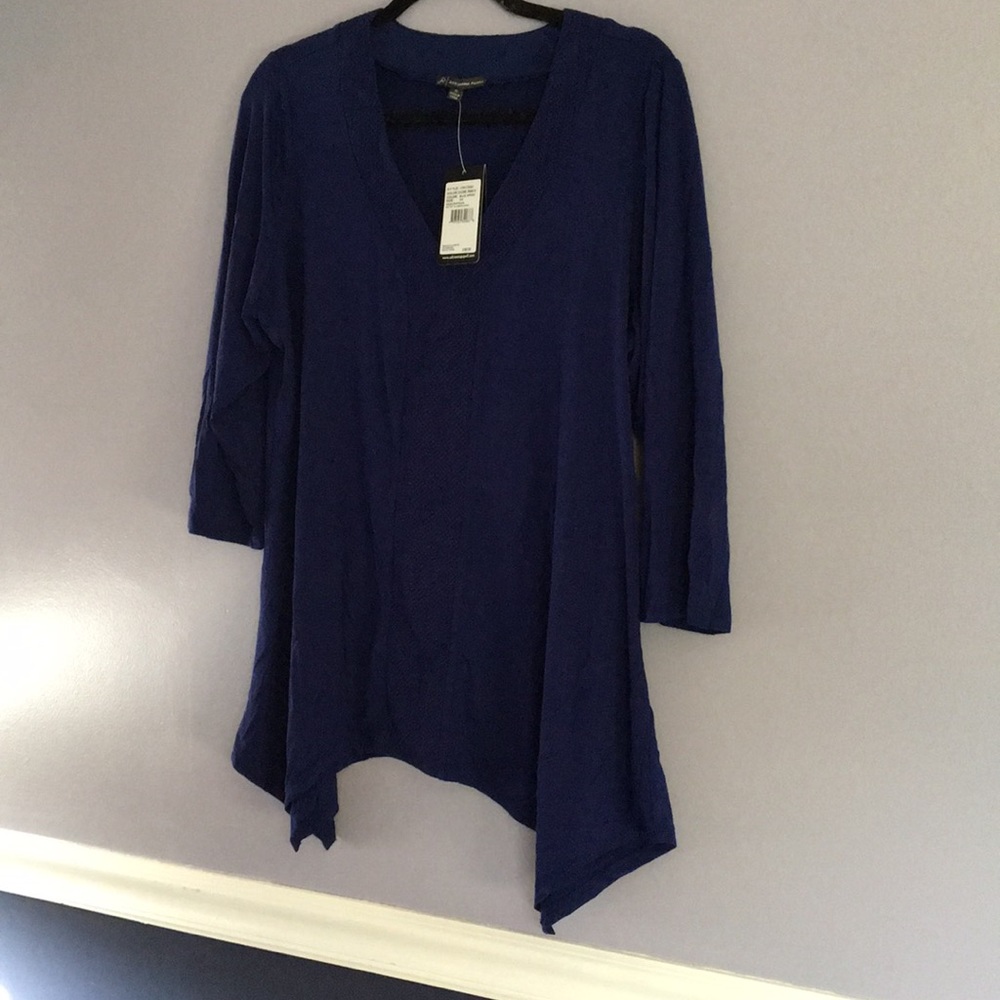 Adrianna appellate 1x blue top